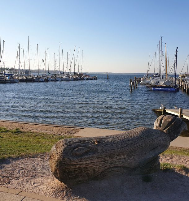 Rerik Ostsee Salzhaff Hafen Wal