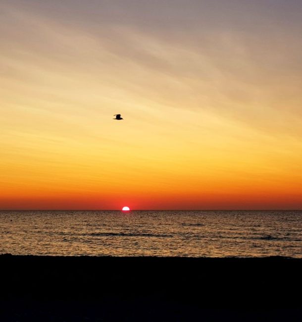 Rerik Ostsee Sonnenuntergang