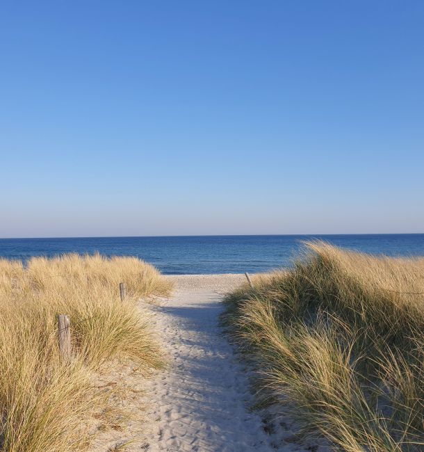 Rerik Ostsee Weg zum Strand und Dünen